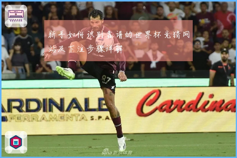 新手如何识别靠谱的世界杯竞猜网站及下注步骤详解