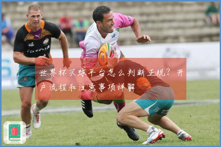 世界杯买球平台怎么判断正规？开户流程和注意事项详解