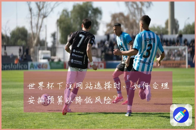 世界杯下注网站选择时，如何合理安排预算以降低风险？