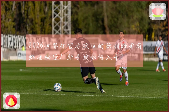 2026世界杯官方投注的欧洲赔率有哪些秘密？新手该如何入手？