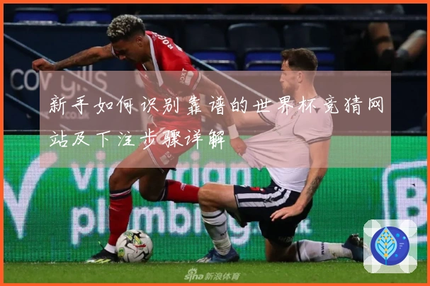 新手如何识别靠谱的世界杯竞猜网站及下注步骤详解