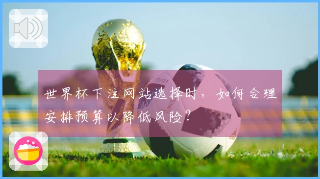 世界杯下注网站选择时，如何合理安排预算以降低风险？