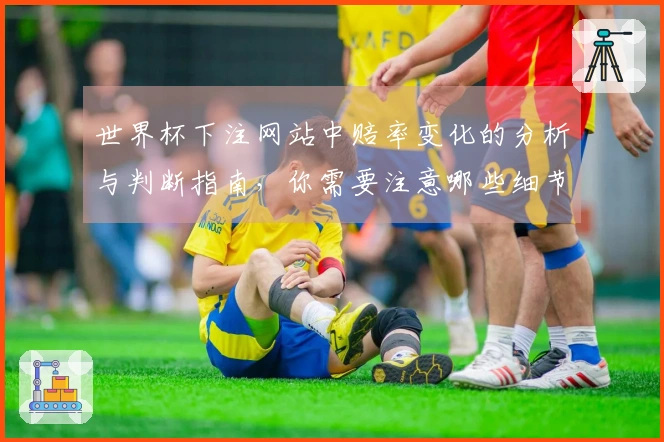 世界杯下注网站中赔率变化的分析与判断指南，你需要注意哪些细节