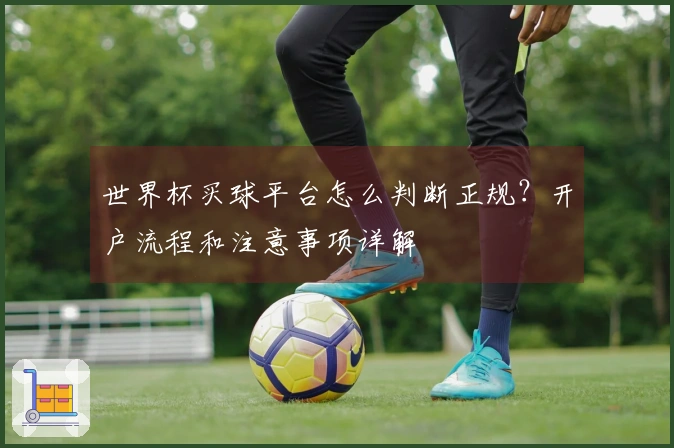 世界杯买球平台怎么判断正规？开户流程和注意事项详解