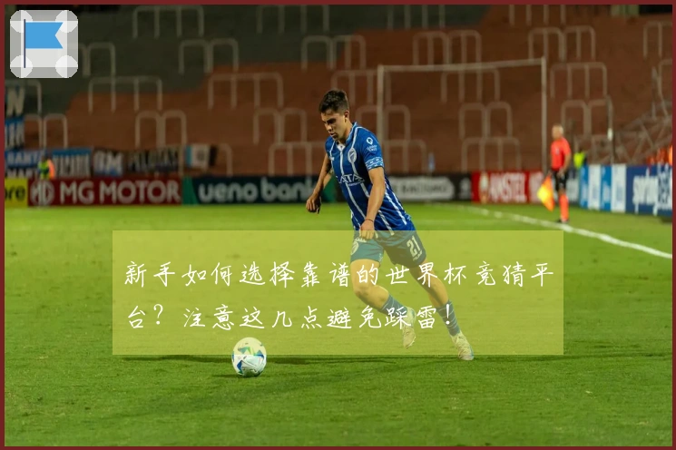 新手如何选择靠谱的世界杯竞猜平台？注意这几点避免踩雷！